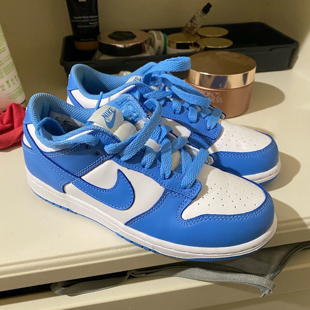 Child’s Nike dunks , worn ONCE , No box